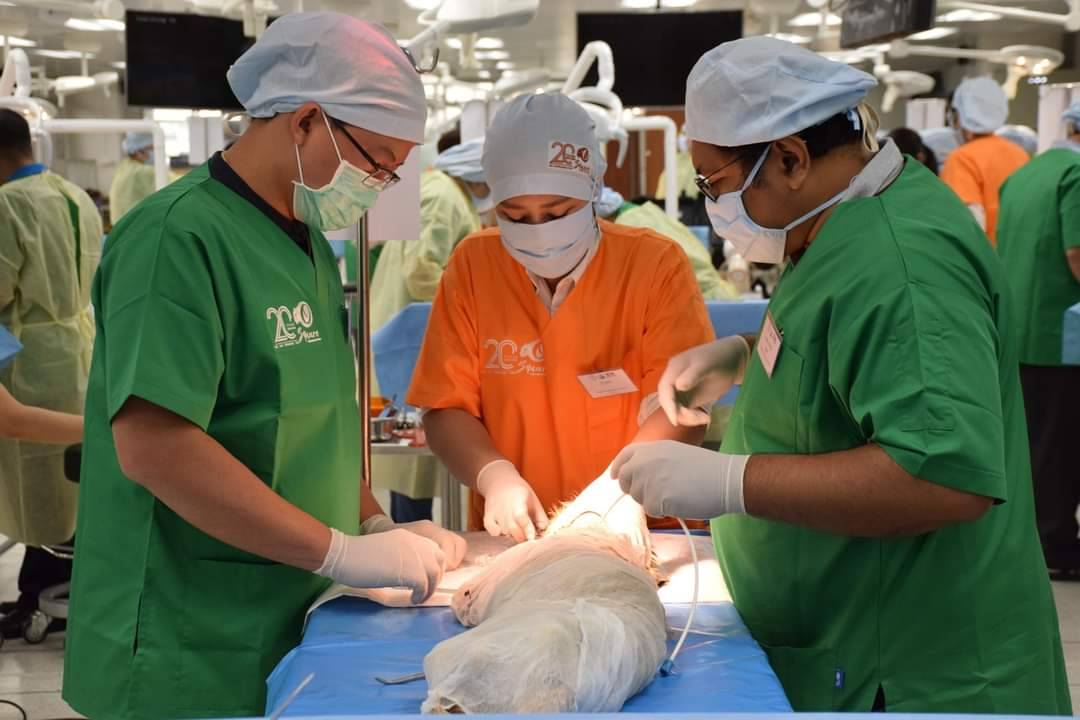 สัตว์อาจารย์ใหญ่ร่างนิ่มไร้ฟอร์มาลิน ครั้งแรกในไทยโดยสัตวแพทย์ จุฬาฯ