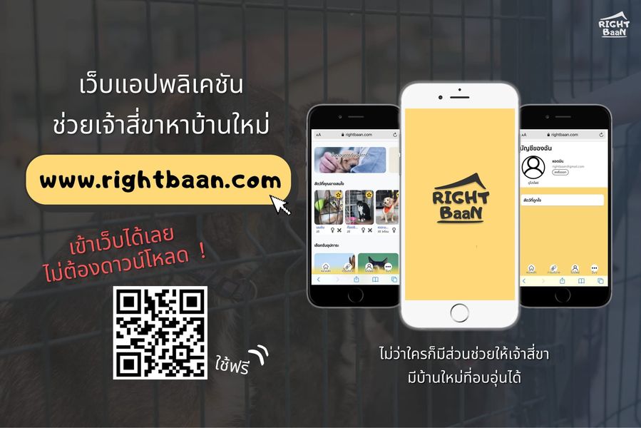 นิสิตสัตวแพทย์ จุฬาฯ พัฒนาเว็บแอปพลิเคชัน “RightBaan” สื่อกลางรวบรวมสัตว์จรจัด ที่รอเจ้าของใหม่มารับกลับบ้าน