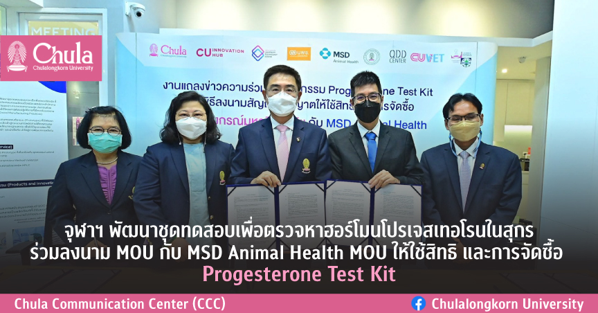 จุฬาฯ พัฒนาชุดทดสอบเพื่อตรวจหาฮอร์โมนโปรเจสเทอโรนในสุกร ร่วมลงนาม MOU กับ MSD Animal Health MOU ให้ใช้สิทธิ และการจัดซื้อ Progesterone Test Kit
