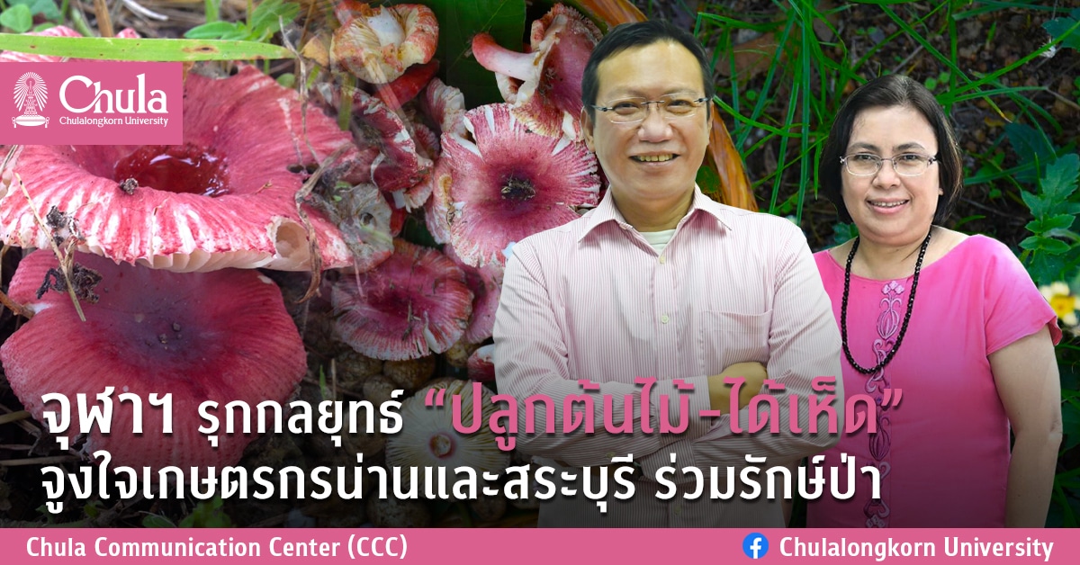 จุฬาฯ รุกกลยุทธ์ “ปลูกต้นไม้-ได้เห็ด” จูงใจเกษตรกรน่านและสระบุรี ร่วมรักษ์ป่า