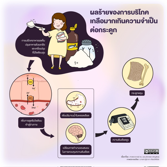 ม.มหิดลวิจัยพบปริมาณโซเดียมส่งผลต่อการสร้างมวลกระดูก และความดันเลือดสูง