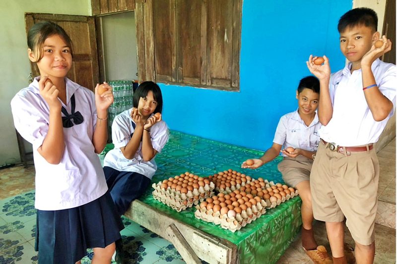 รร.ประชาพัฒนาบ้านแฮด จ.ขอนแก่น สอนนักเรียนสร้างคลังอาหารในโรงเรียน-ชุมชน เดินหน้า “โครงการเลี้ยงไก่ไข่เพื่ออาหารกลางวันนักเรียน” ปีที่ 11