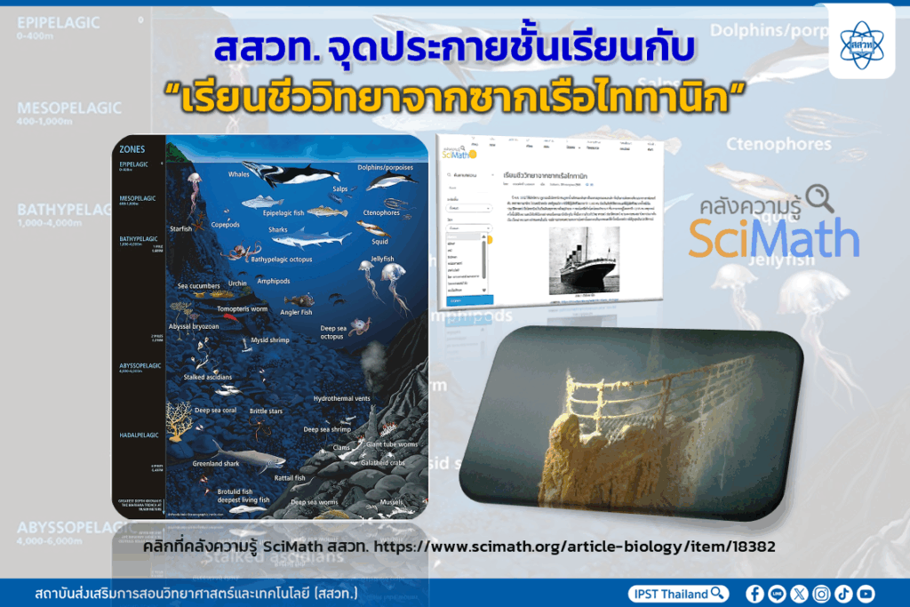 เรียนชีววิทยาจากซากเรือไททานิก: บทเรียนแห่งความหลากหลายทางชีวภาพใต้ท้องทะเลลึก