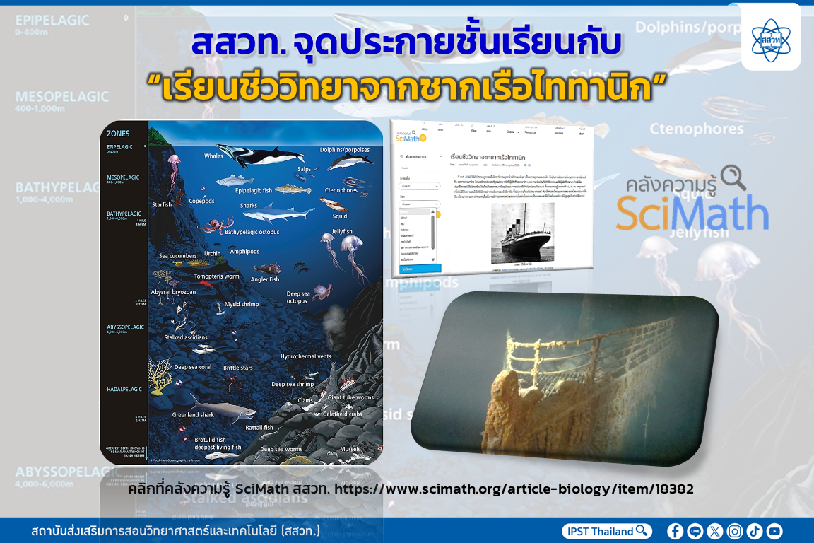 เรียนชีววิทยาจากซากเรือไททานิก: บทเรียนแห่งความหลากหลายทางชีวภาพใต้ท้องทะเลลึก เรียนชีววิทยาจากซากเรือไททานิก: บทเรียนแห่งความหลากหลายทางชีวภาพใต้ท้องทะเลลึก