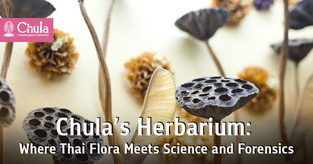 Chulalongkorn University’s Herbarium Preserves Thai Flora for Research and Criminal Investigations