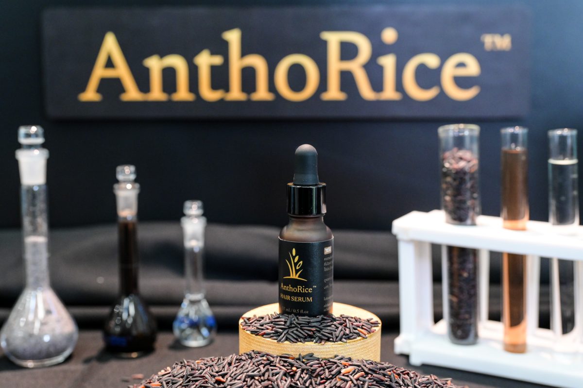 จุฬาฯ – มหิดลผนึกความร่วมมือถ่ายทอดเทคโนโลยี “AnthoRice(TM) Complex” นวัตกรรมเซรั่มบำรุงรากผมจากสารสกัดข้าวไรซ์เบอร์รี่อินทรีย์ของไทย