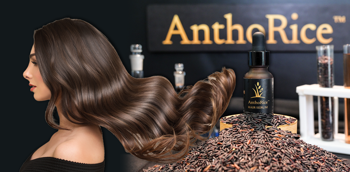 Chulalongkorn University Unveils AnthoRice(TM) Complex, A Breakthrough in Hair-Root Science Chulalongkorn University Unveils AnthoRice(TM) Complex, A Breakthrough in Hair-Root Science