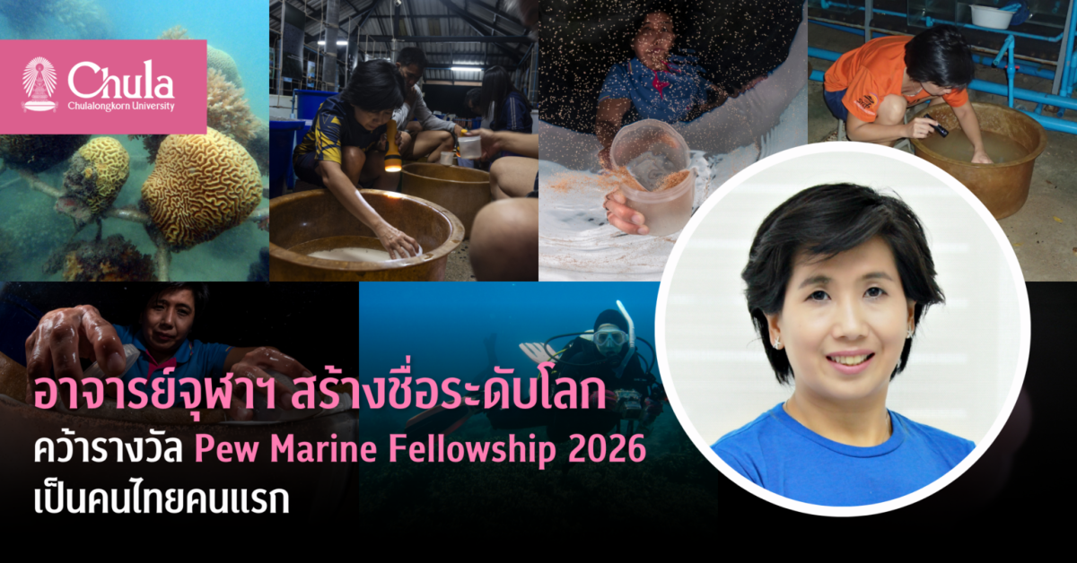 อาจารย์จุฬาฯ สร้างชื่อระดับโลก คว้ารางวัล Pew Marine Fellowship 2026 เป็นคนไทยคนแรก