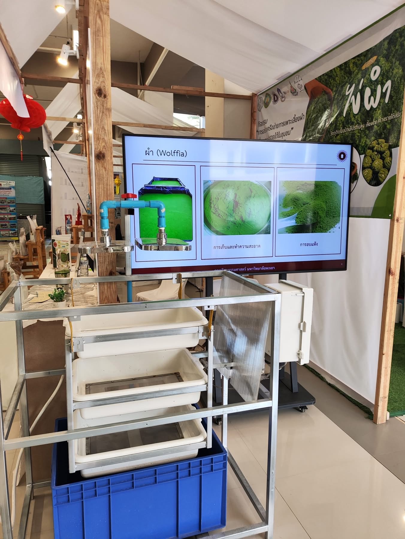 UP Advances Smart Algae Farming Innovation to Drive Future Food and BCG Economy UP Advances Smart Algae Farming Innovation to Drive Future Food and BCG Economy